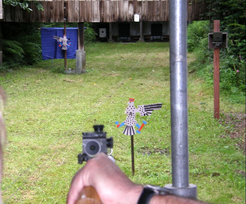 03 Die ersten Fuegel fehlen
